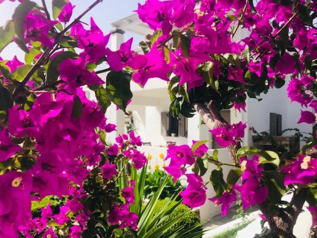 La Bastide Apartment Skyros Bagian luar foto