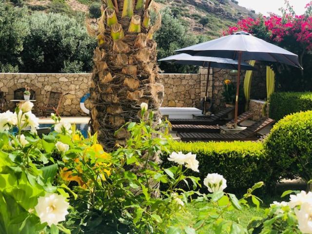 La Bastide Apartment Skyros Bagian luar foto