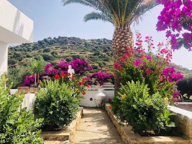 La Bastide Apartment Skyros Bagian luar foto